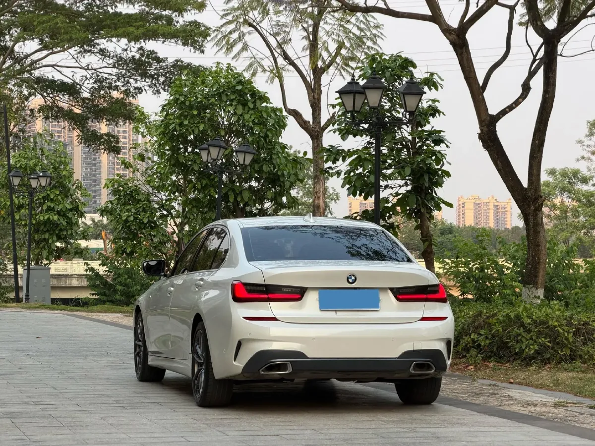 2020 BMW 3 Series 2.0T 156HP L4 8AT,autocango,china used car exporter,china ev exporter,chinese used car exporter,chinese used ev exporter