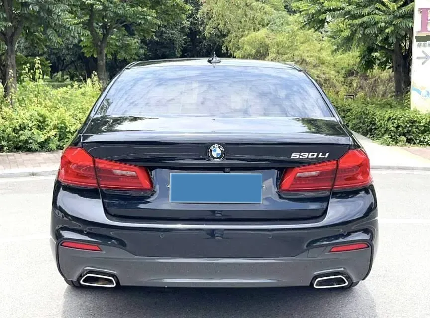 2020 BMW 5 Series 2.0T 252HP L4 8AT,autocango,china used car exporter,china ev exporter,chinese used car exporter,chinese used ev exporter