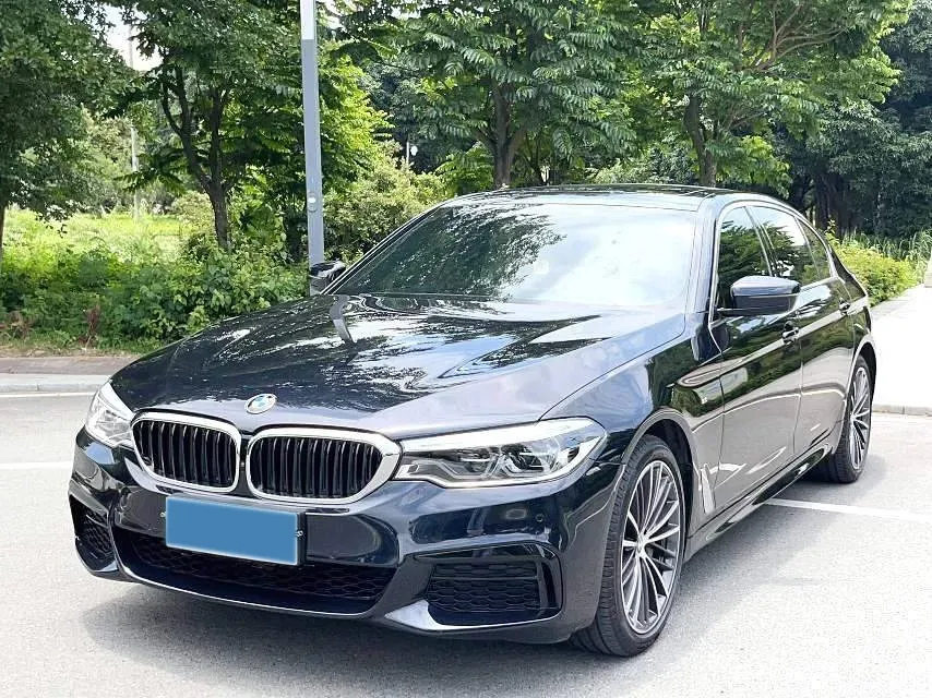 2020 BMW 5 Series 2.0T 252HP L4 8AT,autocango,china used car exporter,china ev exporter,chinese used car exporter,chinese used ev exporter