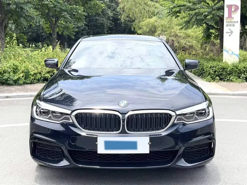 2020 BMW 5 Series 2.0T 252HP L4 8AT,autocango,china used car exporter,china ev exporter,chinese used car exporter,chinese used ev exporter