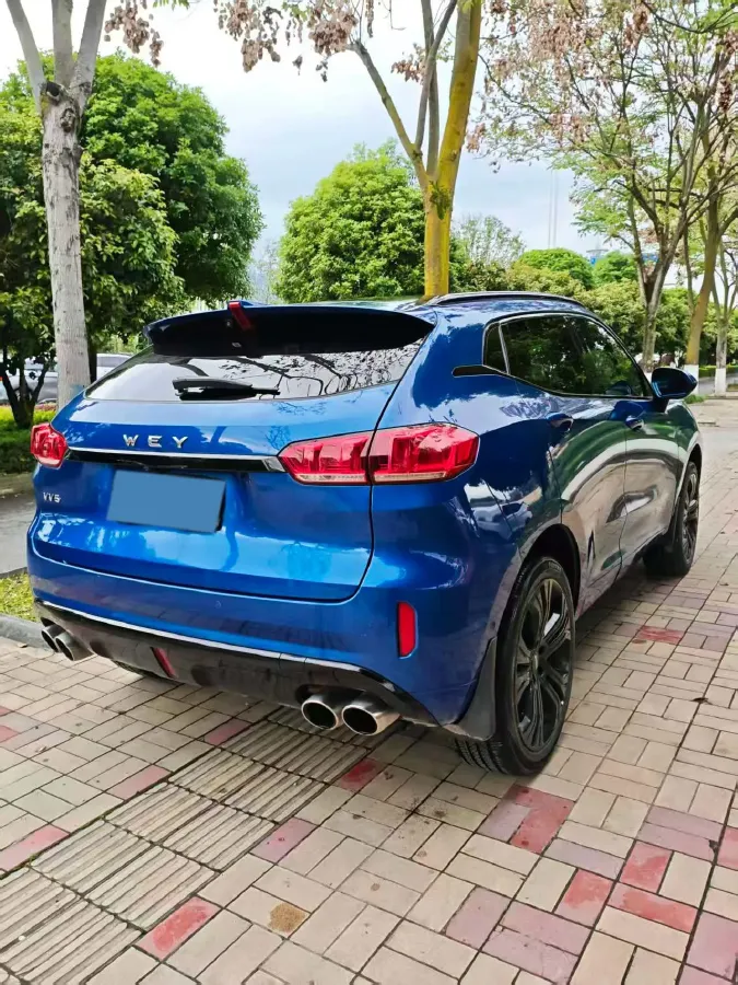 2017 WEY VV5 2.0T 197HP L4 7DCT,autocango,china used car exporter,china ev exporter,chinese used car exporter,chinese used ev exporter