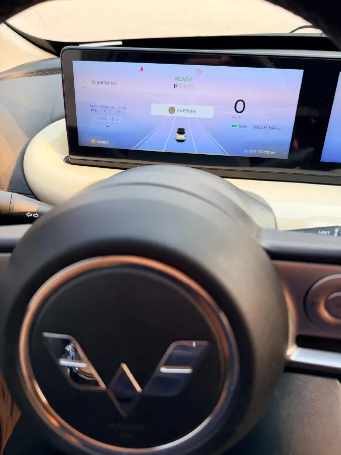 2024 WuLing BinGuo BEV 37.9KWH,autocango,china used car exporter,china ev exporter,chinese used car exporter,chinese used ev exporter