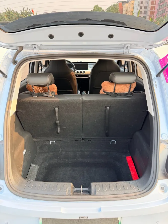 2024 WuLing BinGuo BEV 37.9KWH,autocango,china used car exporter,china ev exporter,chinese used car exporter,chinese used ev exporter