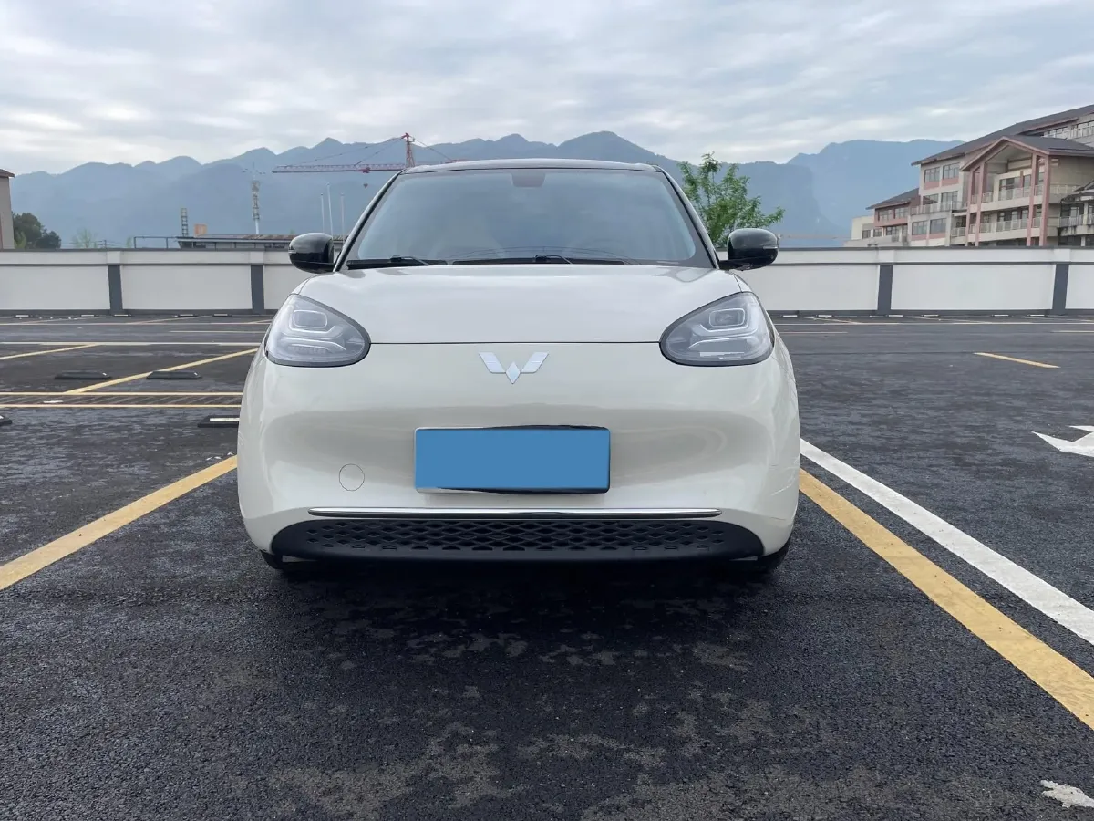 2023 WuLing BinGuo BEV 37.9KWH,autocango,china used car exporter,china ev exporter,chinese used car exporter,chinese used ev exporter