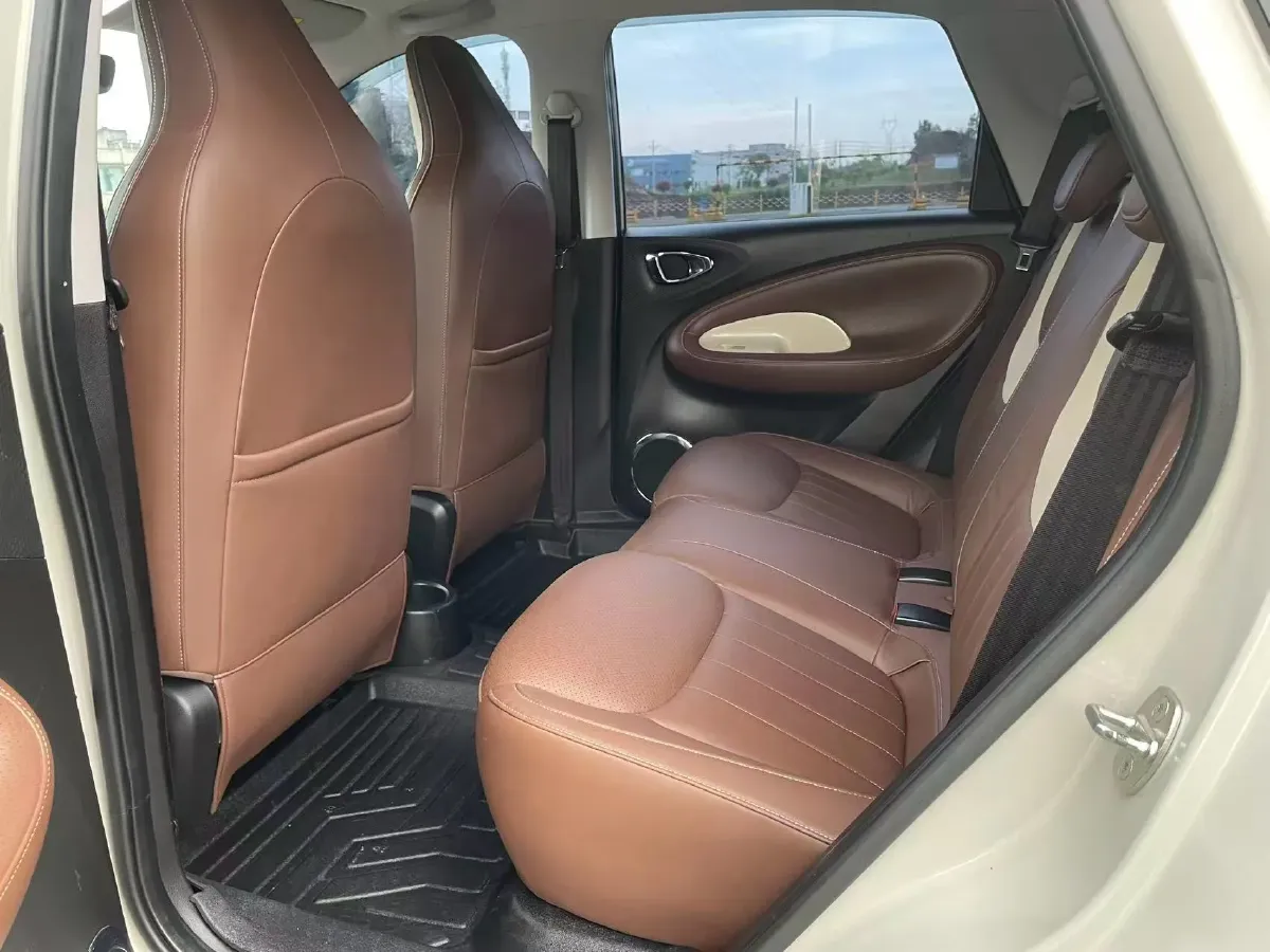 2023 WuLing BinGuo BEV 37.9KWH,autocango,china used car exporter,china ev exporter,chinese used car exporter,chinese used ev exporter