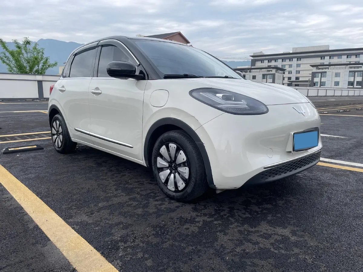 2023 WuLing BinGuo BEV 37.9KWH,autocango,china used car exporter,china ev exporter,chinese used car exporter,chinese used ev exporter