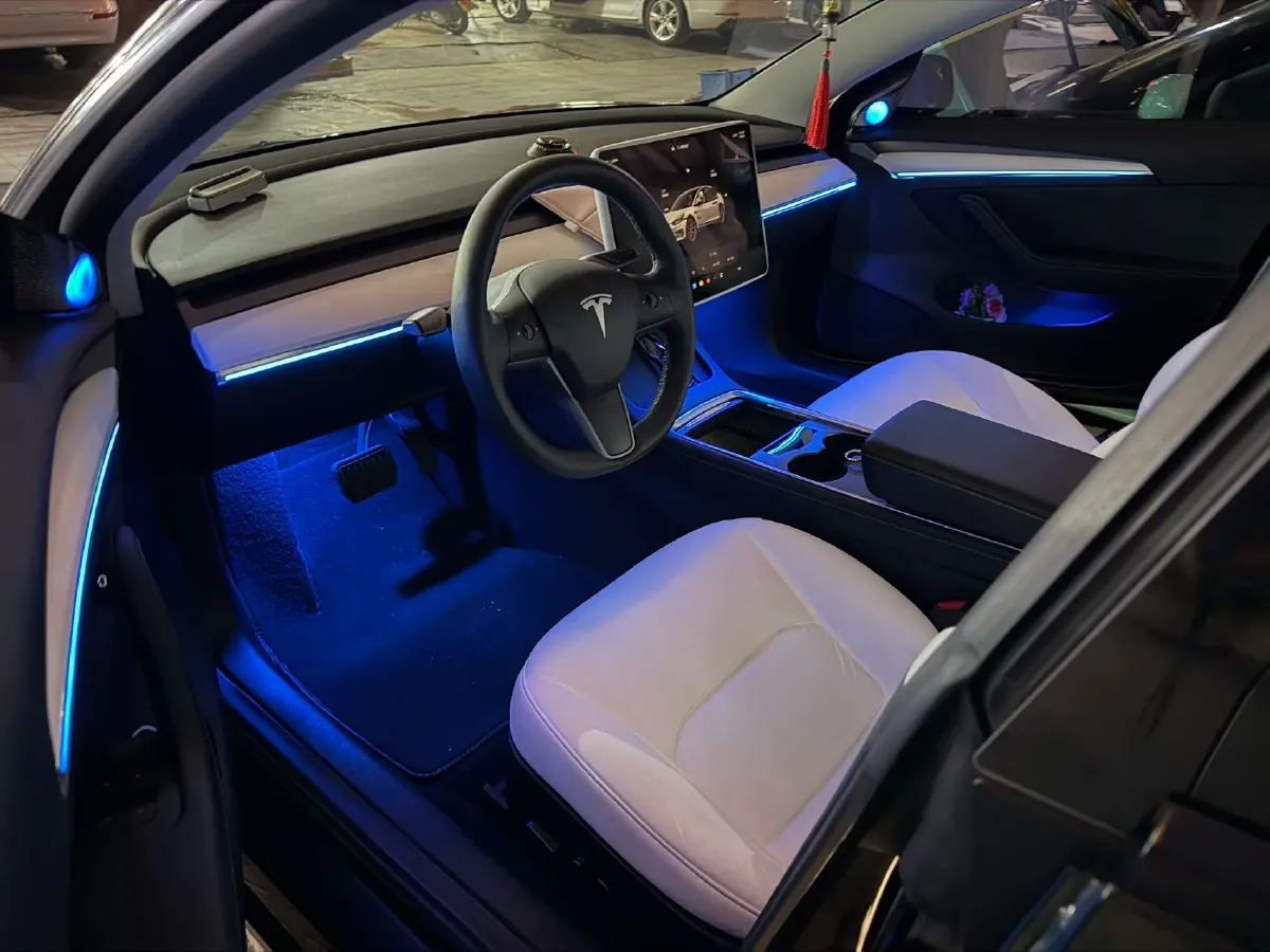 2022 Tesla Model 3 BEV 60KWH,autocango,china used car exporter,china ev exporter,chinese used car exporter,chinese used ev exporter