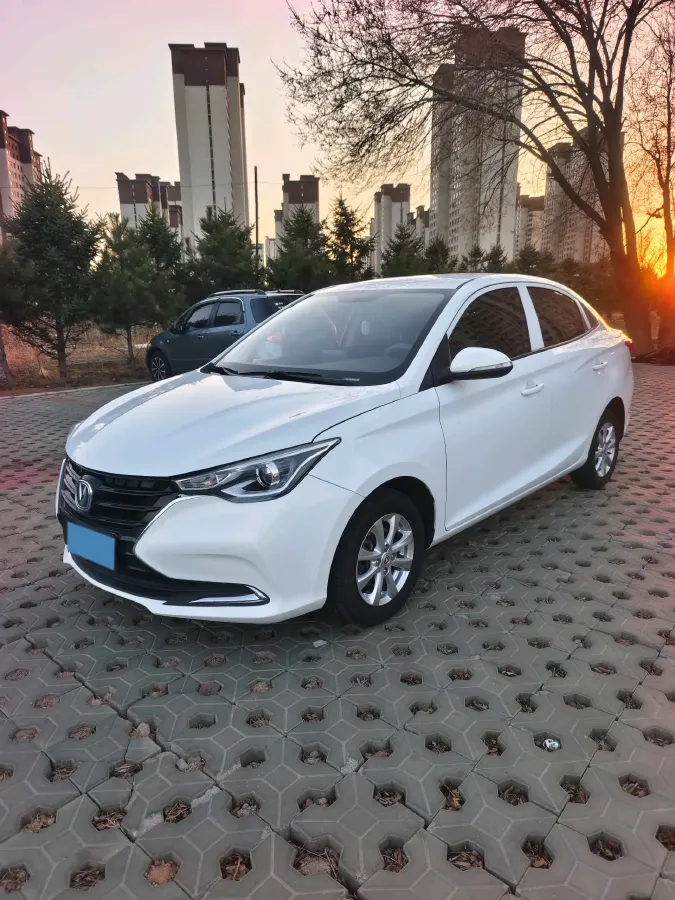 2019 ChangAn Alsvin 1.5L 107HP L4 5DCT,autocango,china used car exporter,china ev exporter,chinese used car exporter,chinese used ev exporter