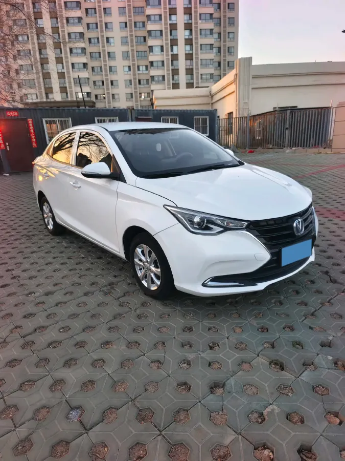 2019 ChangAn Alsvin 1.5L 107HP L4 5DCT,autocango,china used car exporter,china ev exporter,chinese used car exporter,chinese used ev exporter