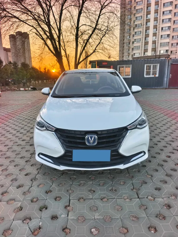2019 ChangAn Alsvin 1.5L 107HP L4 5DCT,autocango,china used car exporter,china ev exporter,chinese used car exporter,chinese used ev exporter