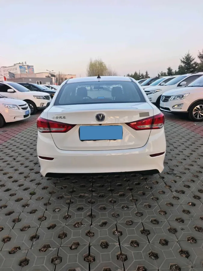 2019 ChangAn Alsvin 1.5L 107HP L4 5DCT,autocango,china used car exporter,china ev exporter,chinese used car exporter,chinese used ev exporter