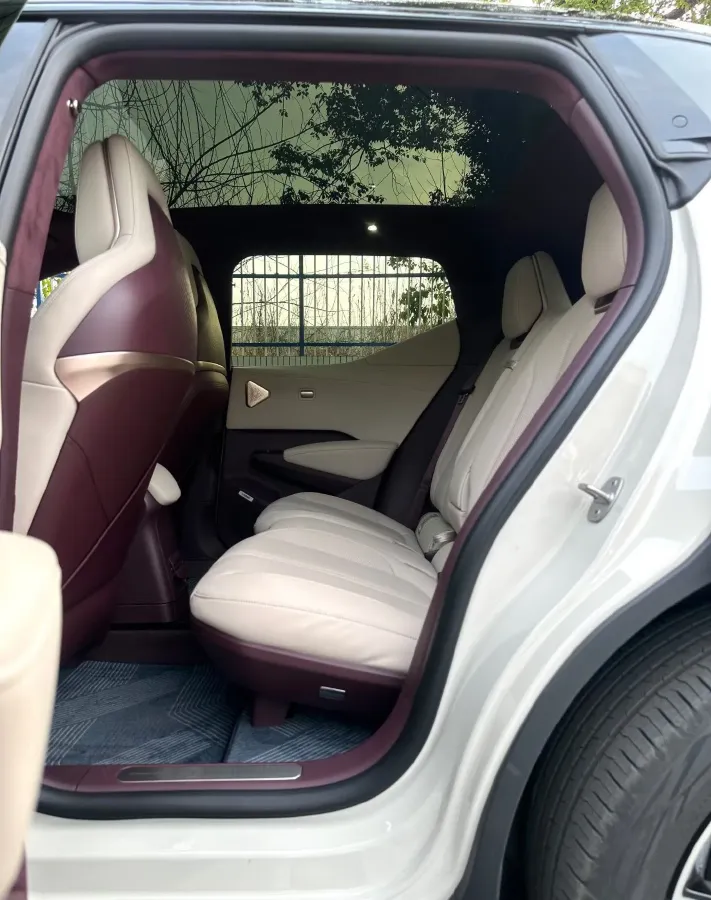 2025 BYD Sea Lion 06 BEV,autocango,china used car exporter,china ev exporter,chinese used car exporter,chinese used ev exporter