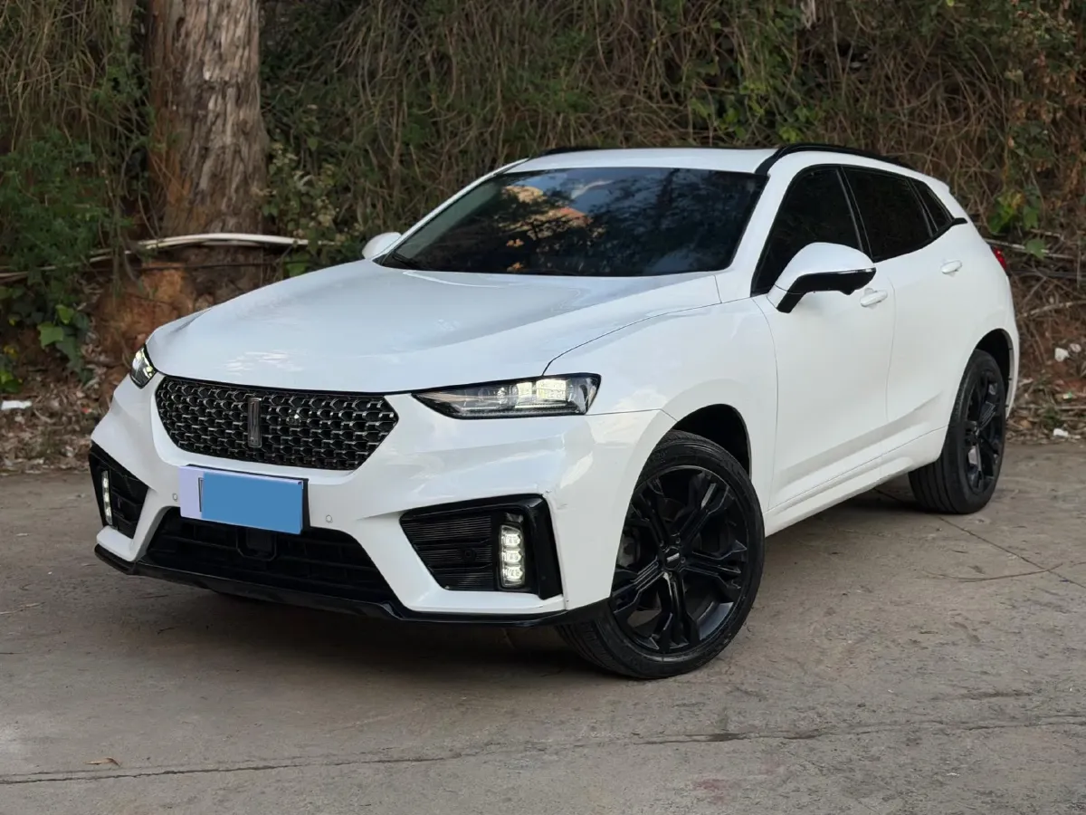 2020 WEY VV7 2.0T 227HP L4 7DCT,autocango,china used car exporter,china ev exporter,chinese used car exporter,chinese used ev exporter