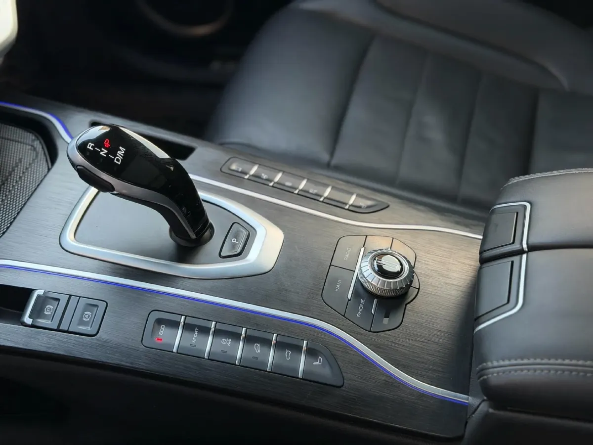 2020 WEY VV7 2.0T 227HP L4 7DCT,autocango,china used car exporter,china ev exporter,chinese used car exporter,chinese used ev exporter