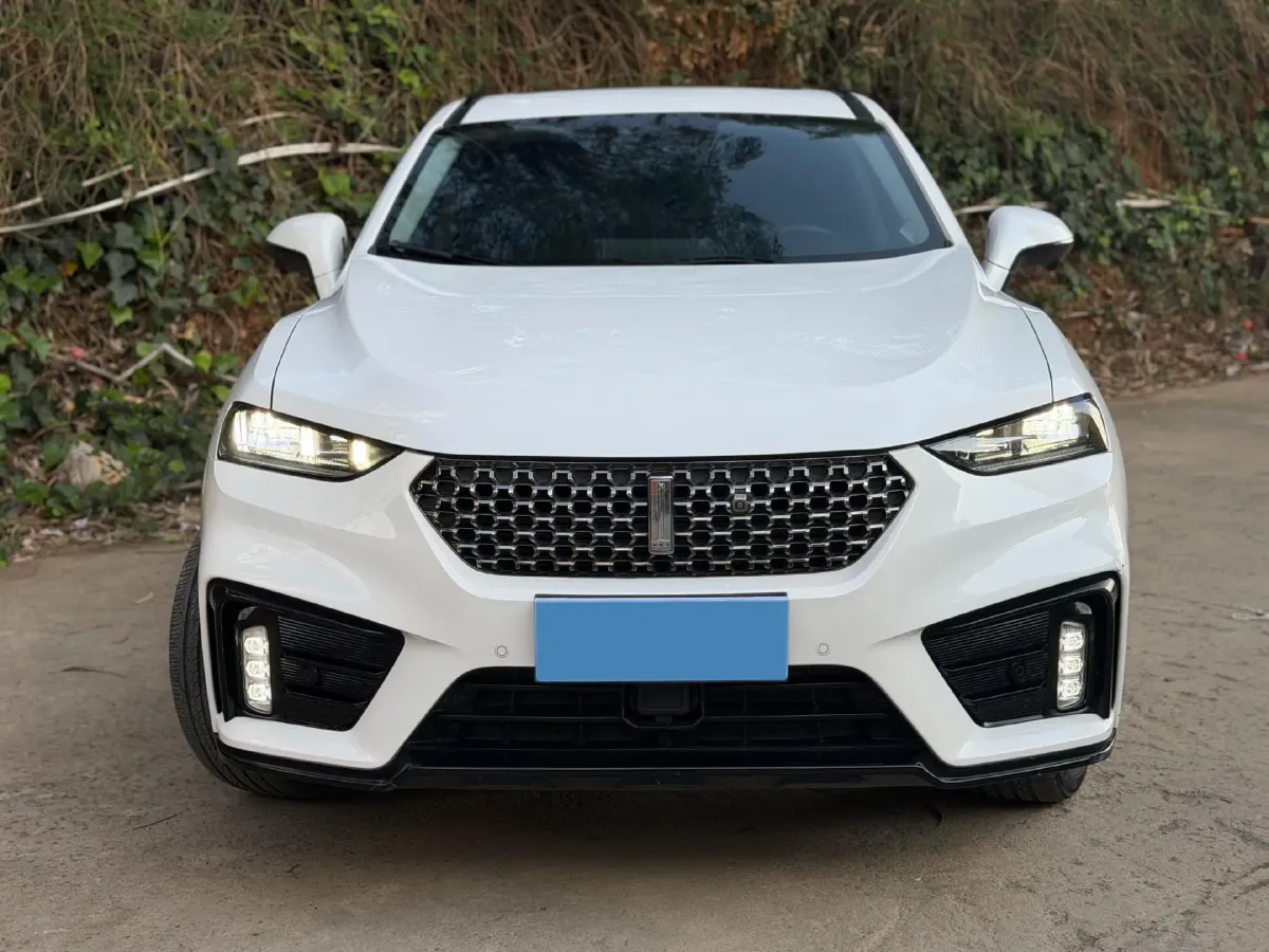 2020 WEY VV7 2.0T 227HP L4 7DCT,autocango,china used car exporter,china ev exporter,chinese used car exporter,chinese used ev exporter