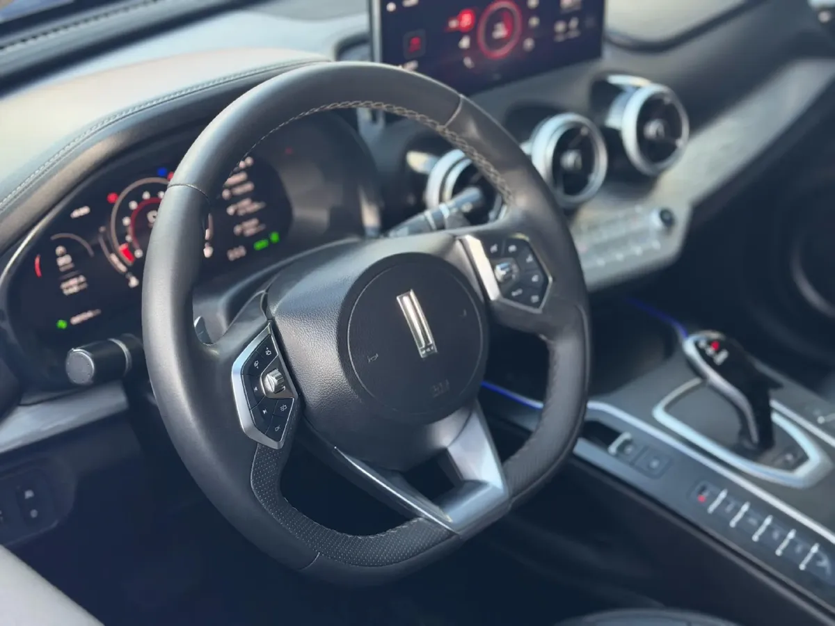 2020 WEY VV7 2.0T 227HP L4 7DCT,autocango,china used car exporter,china ev exporter,chinese used car exporter,chinese used ev exporter