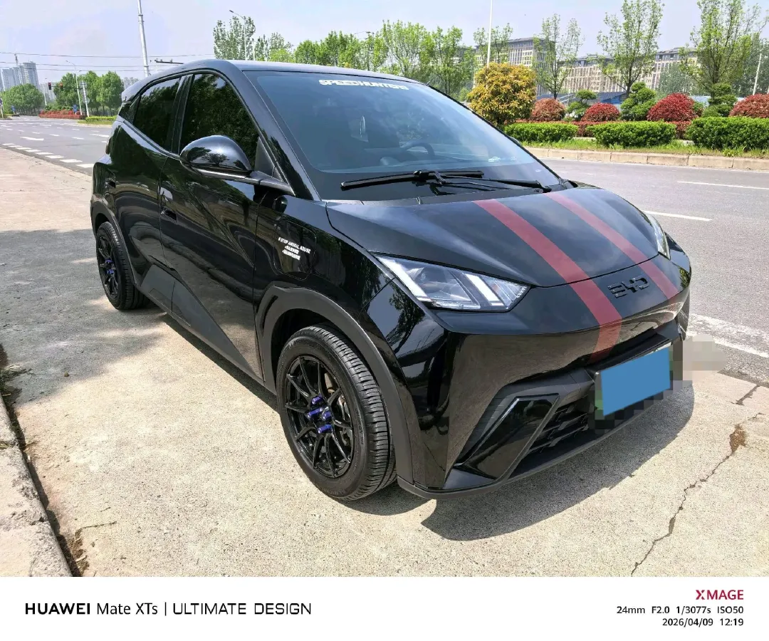 2025 BYD Seagull BEV 30.08KWH,autocango,china used car exporter,china ev exporter,chinese used car exporter,chinese used ev exporter