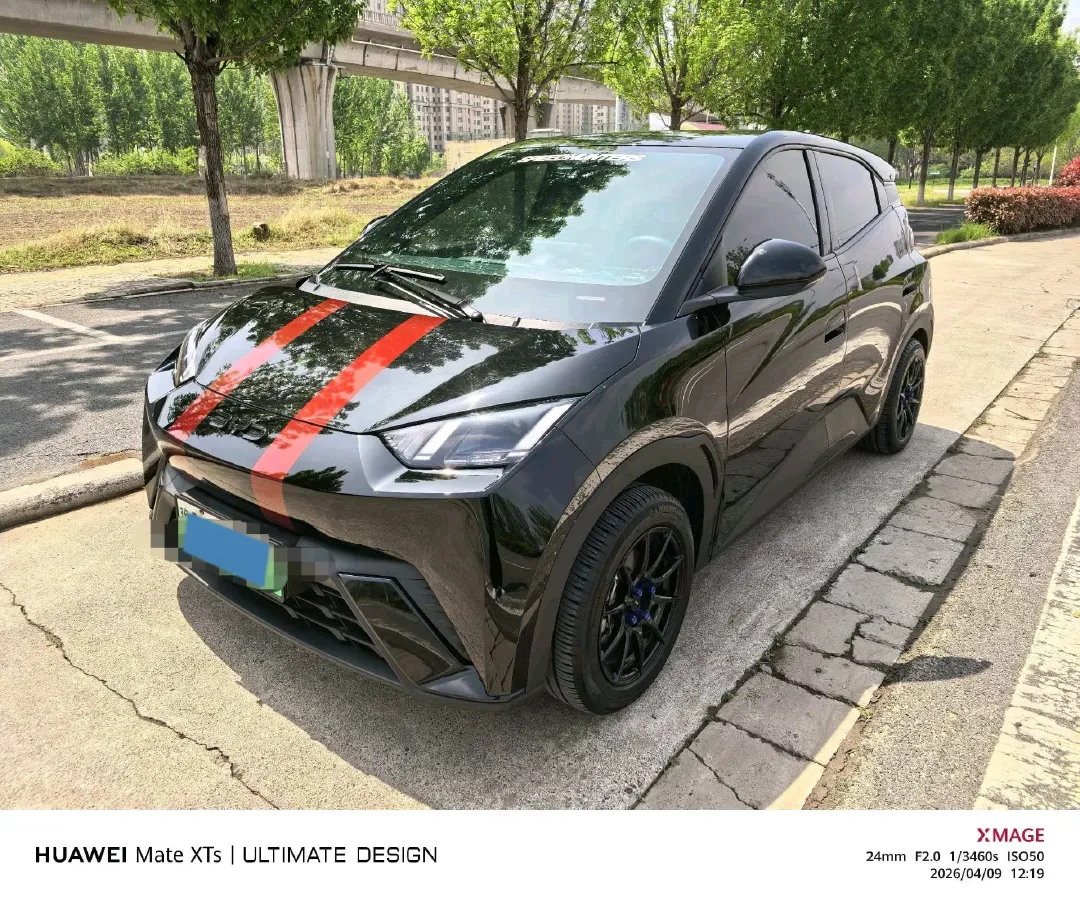 2025 BYD Seagull BEV 30.08KWH,autocango,china used car exporter,china ev exporter,chinese used car exporter,chinese used ev exporter