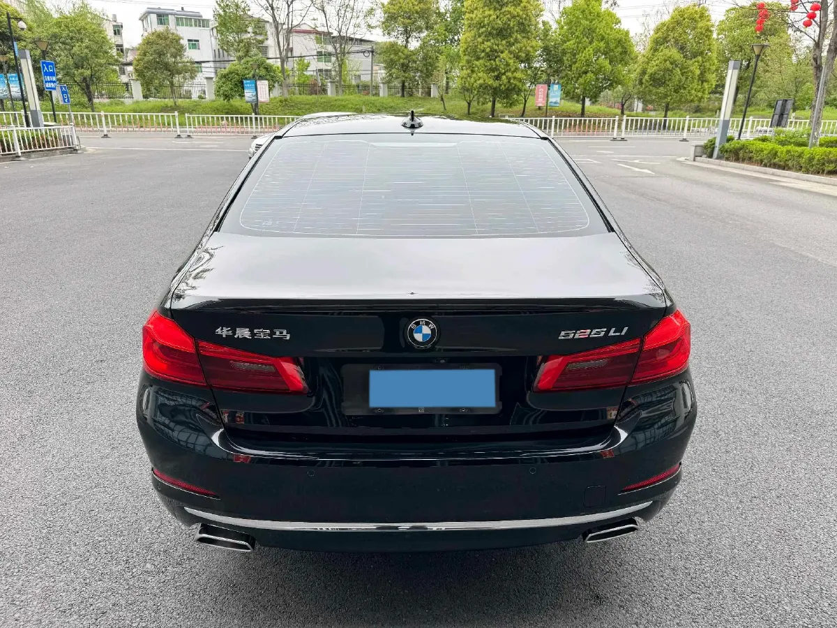 2020 BMW 5 Series 2.0T 184HP L4 8AT,autocango,china used car exporter,china ev exporter,chinese used car exporter,chinese used ev exporter