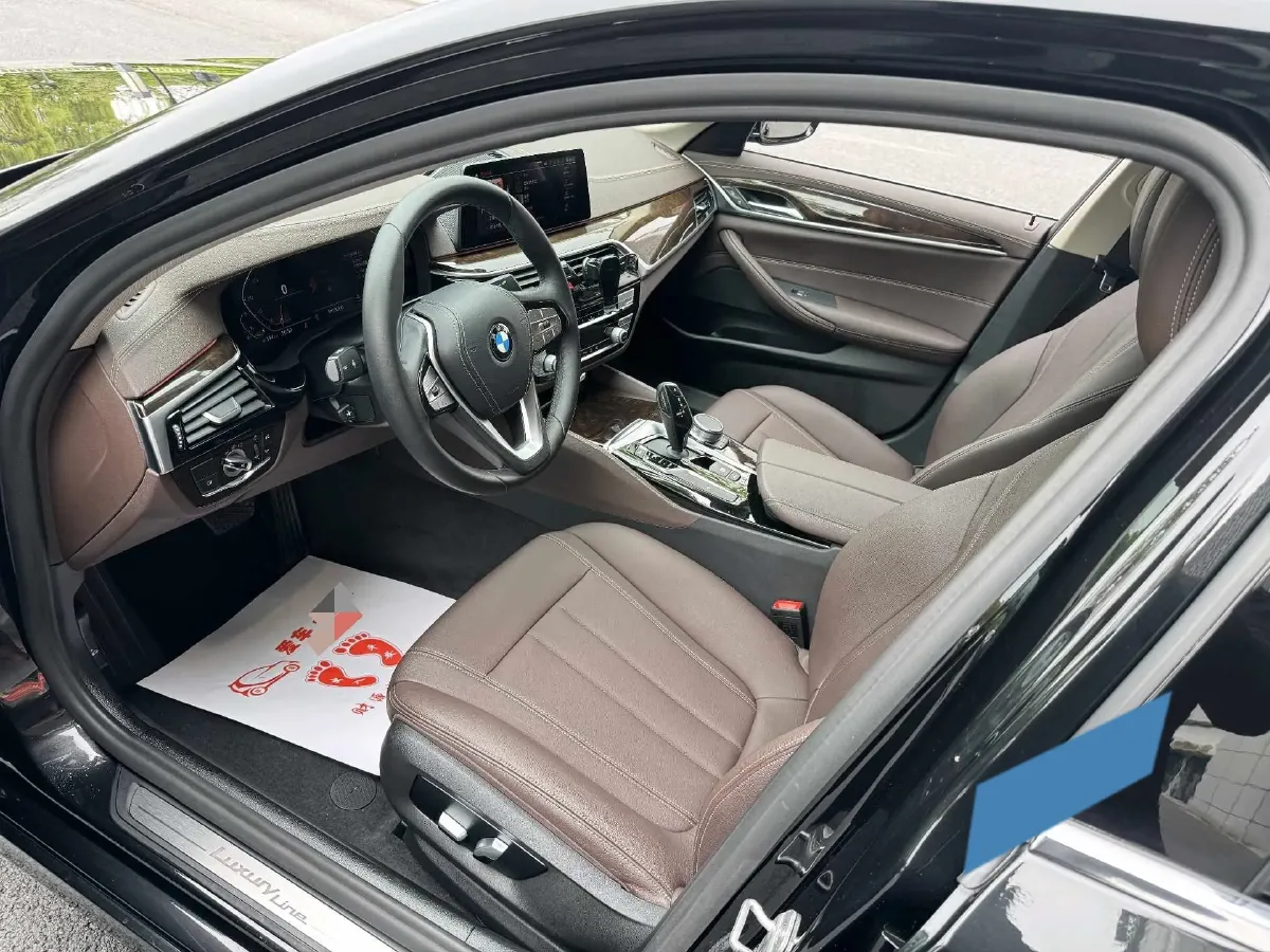 2020 BMW 5 Series 2.0T 184HP L4 8AT,autocango,china used car exporter,china ev exporter,chinese used car exporter,chinese used ev exporter