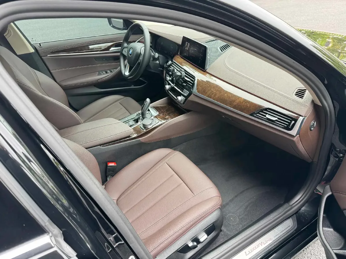 2020 BMW 5 Series 2.0T 184HP L4 8AT,autocango,china used car exporter,china ev exporter,chinese used car exporter,chinese used ev exporter