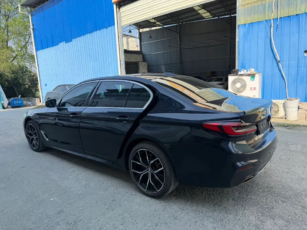 2020 BMW 5 Series 2.0T 252HP L4 8AT,autocango,china used car exporter,china ev exporter,chinese used car exporter,chinese used ev exporter