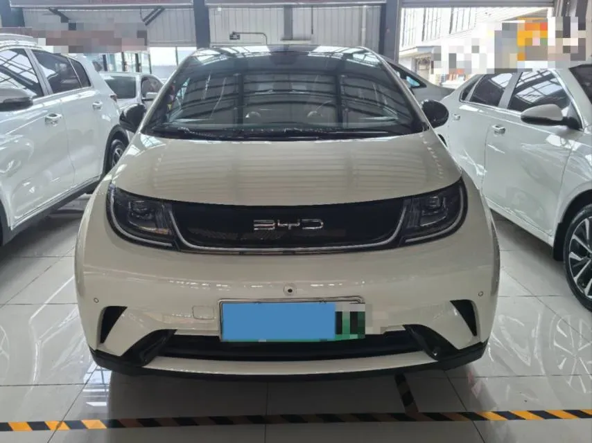 2023 BYD Dolphin BEV 44.928KWH,autocango,china used car exporter,china ev exporter,chinese used car exporter,chinese used ev exporter