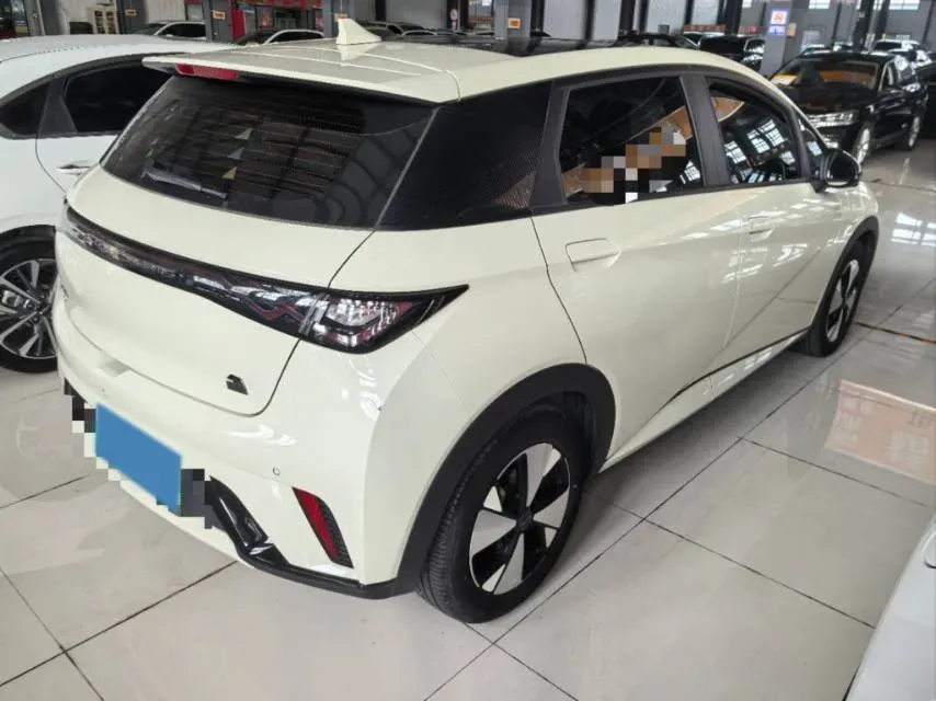 2023 BYD Dolphin BEV 44.928KWH,autocango,china used car exporter,china ev exporter,chinese used car exporter,chinese used ev exporter