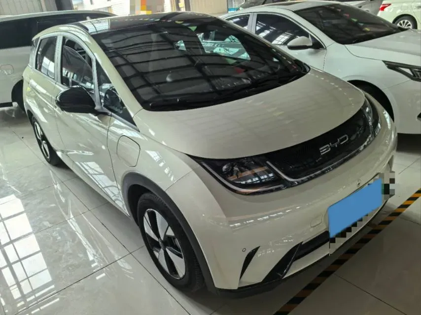 2023 BYD Dolphin BEV 44.928KWH,autocango,china used car exporter,china ev exporter,chinese used car exporter,chinese used ev exporter