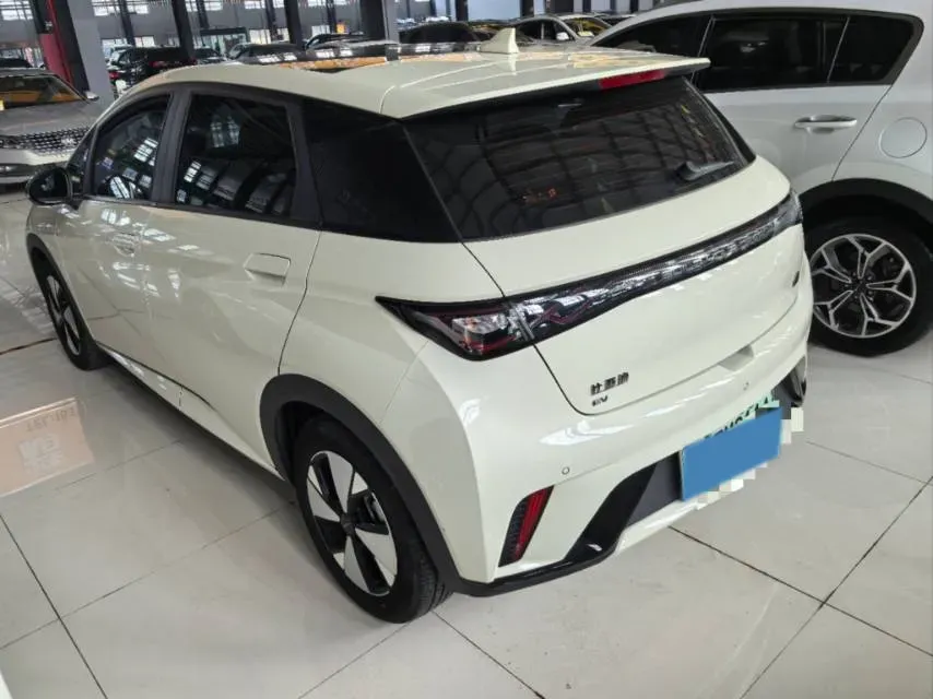 2023 BYD Dolphin BEV 44.928KWH,autocango,china used car exporter,china ev exporter,chinese used car exporter,chinese used ev exporter