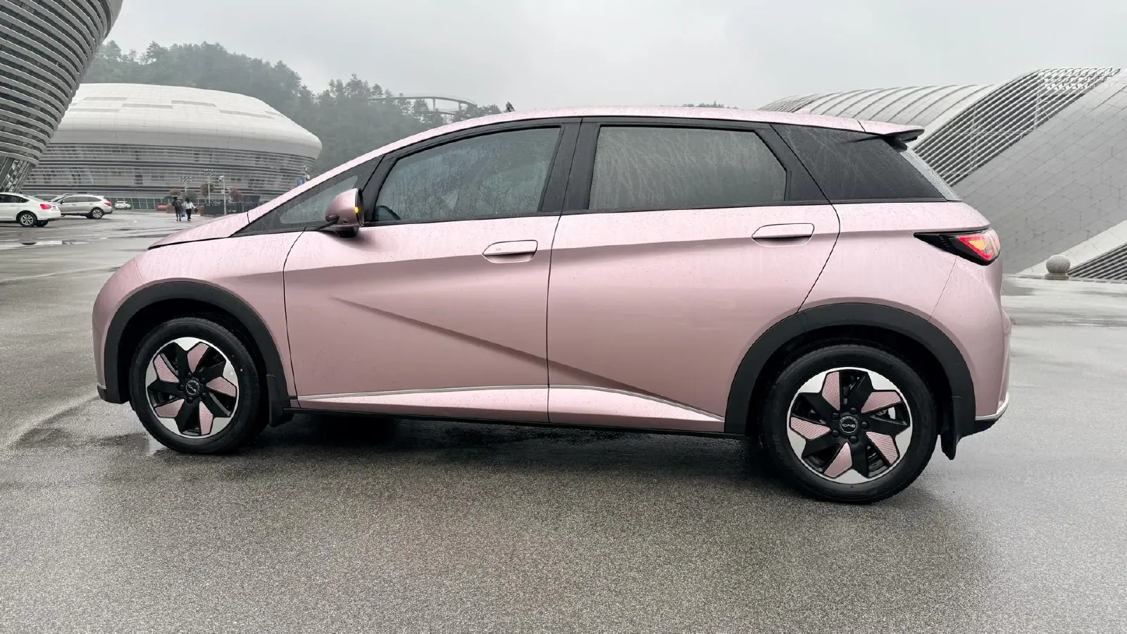 2025 BYD Dolphin BEV 44.928KWH,autocango,china used car exporter,china ev exporter,chinese used car exporter,chinese used ev exporter