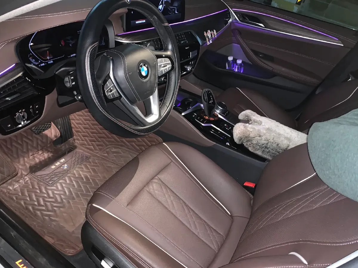 2021 BMW 5 Series 2.0T 252HP L4 8AT,autocango,china used car exporter,china ev exporter,chinese used car exporter,chinese used ev exporter