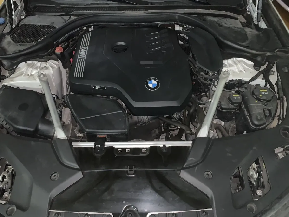 2021 BMW 5 Series 2.0T 252HP L4 8AT,autocango,china used car exporter,china ev exporter,chinese used car exporter,chinese used ev exporter