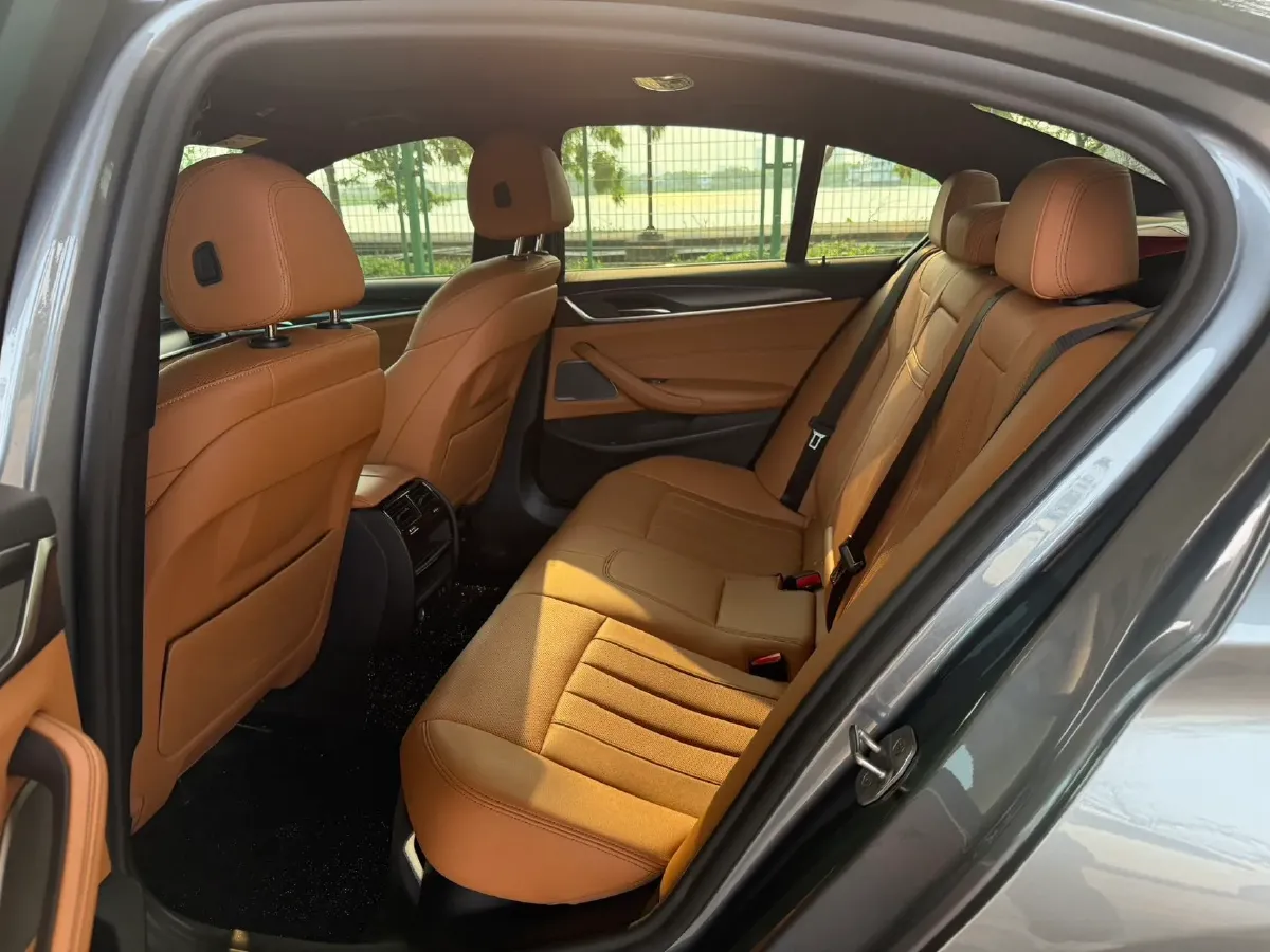 2021 BMW 5 Series 2.0T 252HP L4 8AT,autocango,china used car exporter,china ev exporter,chinese used car exporter,chinese used ev exporter