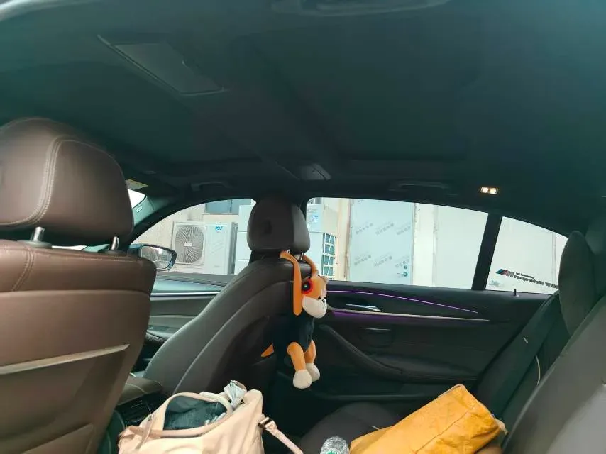 2021 BMW 5 Series 2.0T 184HP L4 8AT PHEV 17.7KWH,autocango,china used car exporter,china ev exporter,chinese used car exporter,chinese used ev exporter