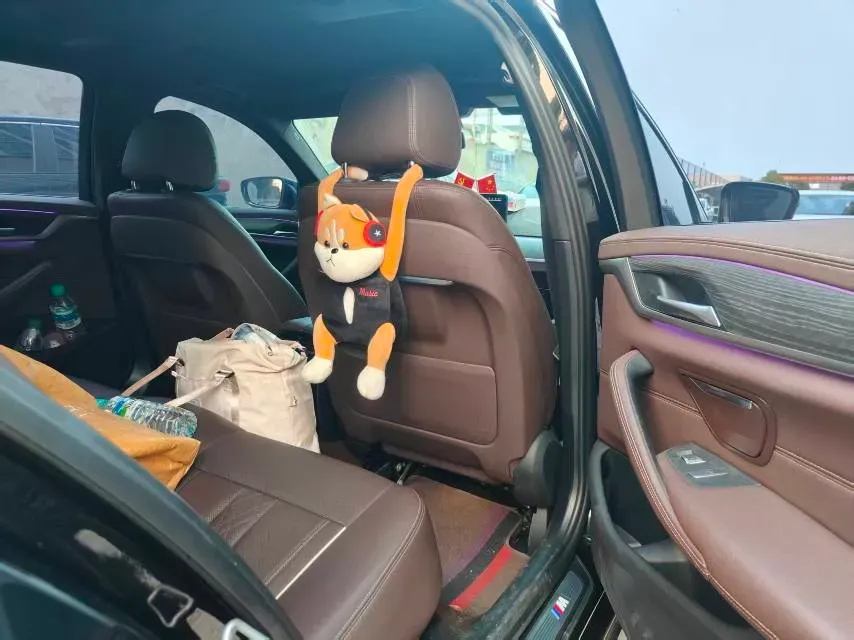 2021 BMW 5 Series 2.0T 184HP L4 8AT PHEV 17.7KWH,autocango,china used car exporter,china ev exporter,chinese used car exporter,chinese used ev exporter