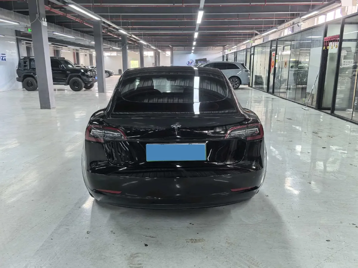 2021 Tesla Model 3 BEV 55KWH,autocango,china used car exporter,china ev exporter,chinese used car exporter,chinese used ev exporter