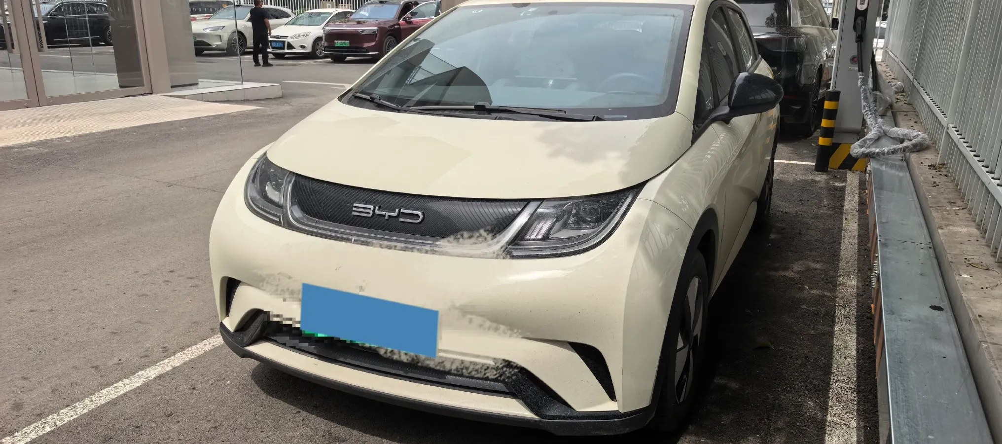 2023 BYD Dolphin BEV 44.928KWH,autocango,china used car exporter,china ev exporter,chinese used car exporter,chinese used ev exporter