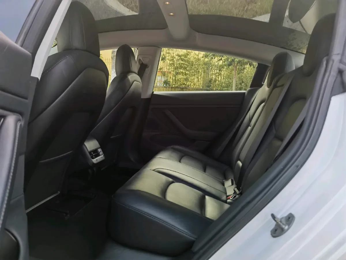 2019 Tesla Model 3 BEV 81KWH,autocango,china used car exporter,china ev exporter,chinese used car exporter,chinese used ev exporter