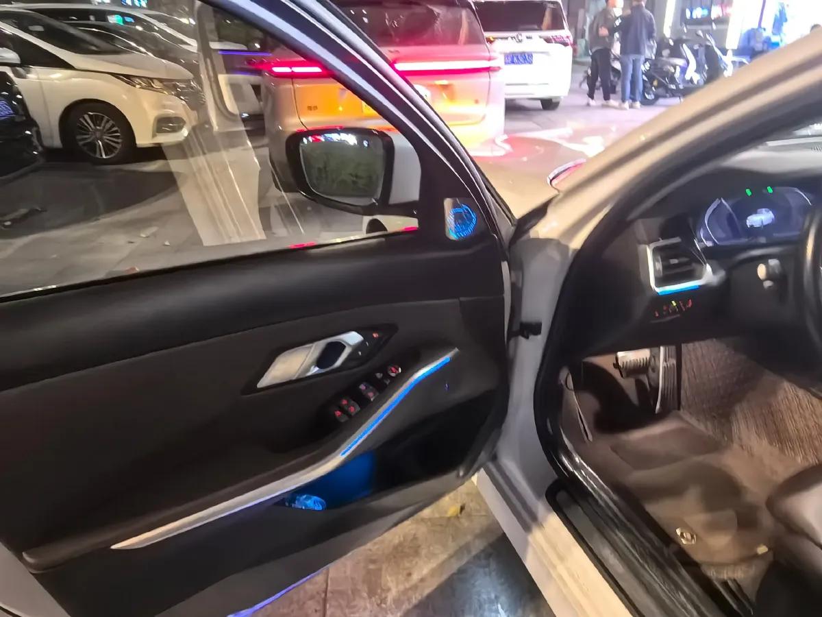 2020 BMW 3 Series 2.0T 184HP L4 8AT,autocango,china used car exporter,china ev exporter,chinese used car exporter,chinese used ev exporter