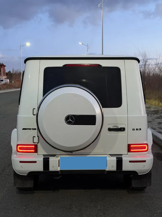 2021 Mercedes-Benz G Class 4.0T 421HP V8 9AT,autocango,china used car exporter,china ev exporter,chinese used car exporter,chinese used ev exporter