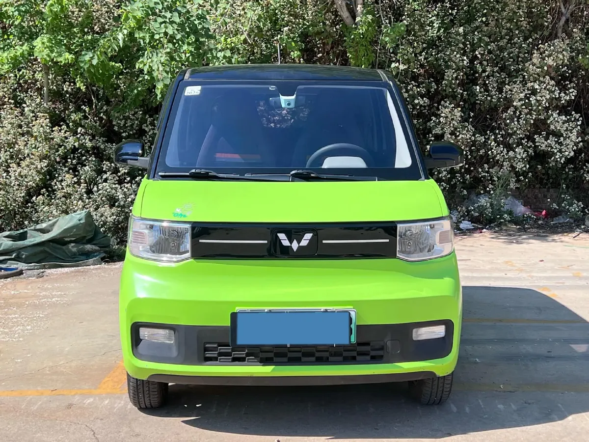 2020 WuLing HongGuang MINI EV BEV 9.3KWH,autocango,china used car exporter,china ev exporter,chinese used car exporter,chinese used ev exporter