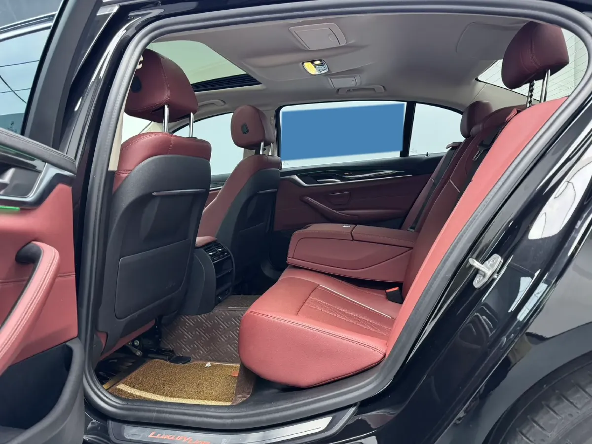 2021 BMW 5 Series 2.0T 184HP L4 8AT,autocango,china used car exporter,china ev exporter,chinese used car exporter,chinese used ev exporter