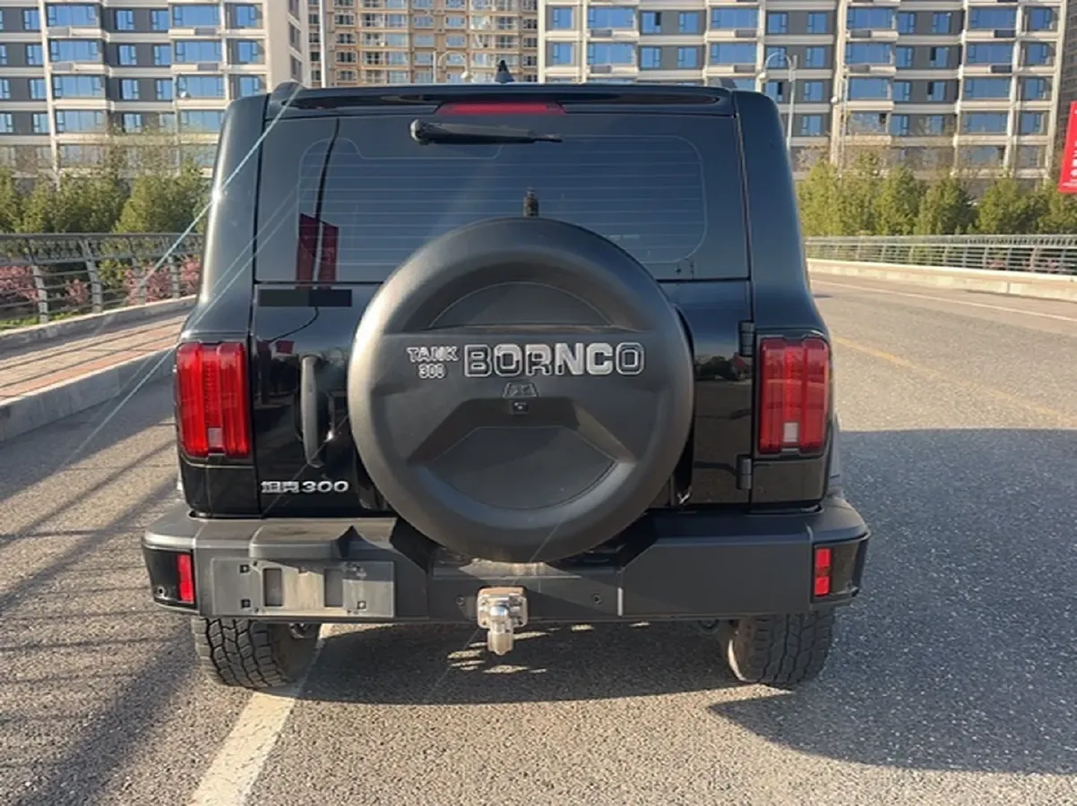 2024 Tank 300 2.0T 227HP L4 8AT,autocango,china used car exporter,china ev exporter,chinese used car exporter,chinese used ev exporter