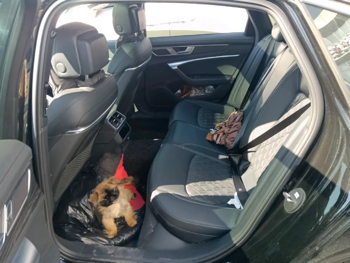 2025 Audi A6L 2.0T 245HP L4 7DCT,autocango,china used car exporter,china ev exporter,chinese used car exporter,chinese used ev exporter