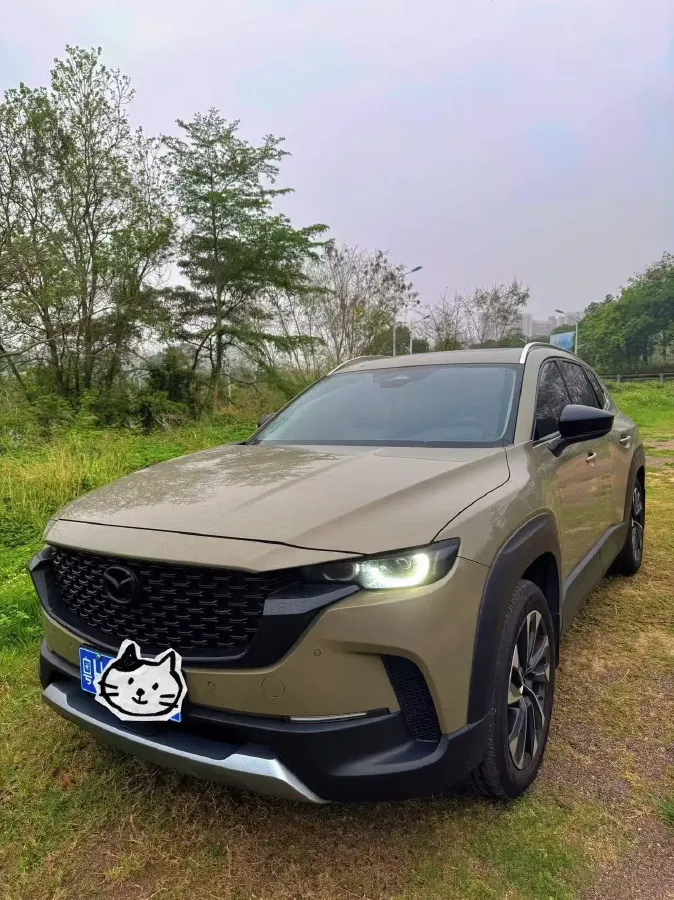 2023 JMC E LuShun BEV 53.58KWH,autocango,china used car exporter,china ev exporter,chinese used car exporter,chinese used ev exporter