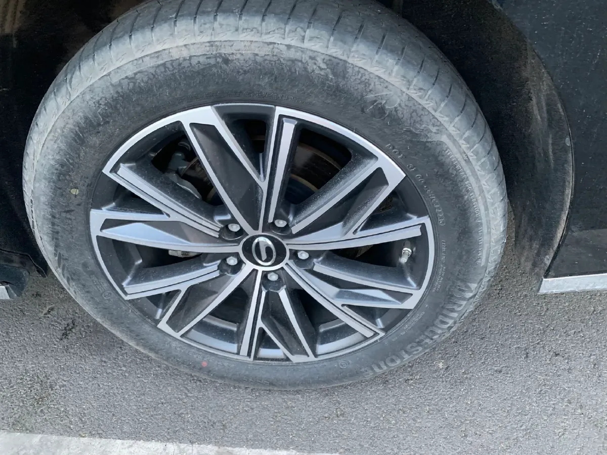 2024 GAC Trumpchi M8 2.0T 252HP L4 8AT,autocango,china used car exporter,china ev exporter,chinese used car exporter,chinese used ev exporter