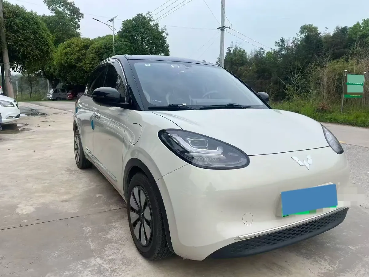 2024 WuLing BinGuo BEV 31.9KWH,autocango,china used car exporter,china ev exporter,chinese used car exporter,chinese used ev exporter