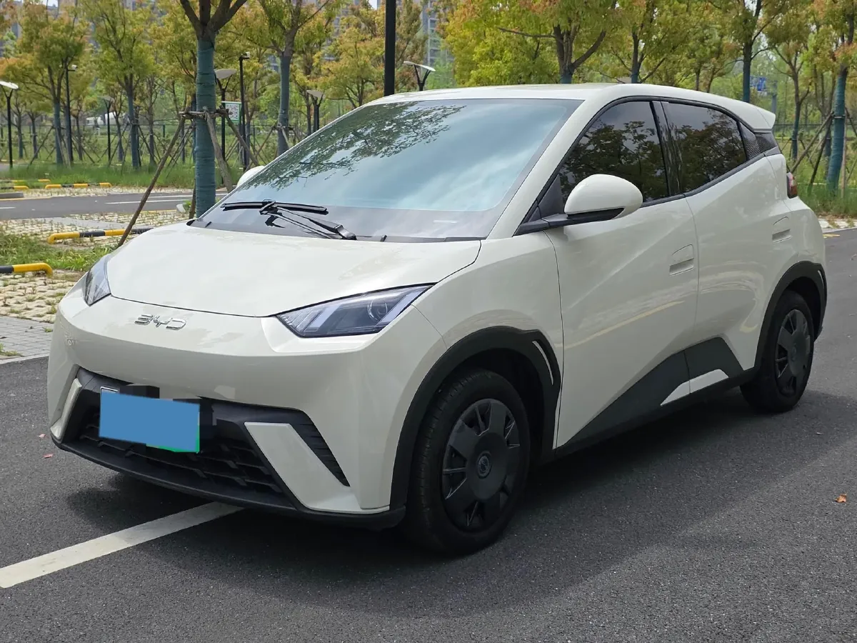 2025 BYD Seagull BEV 30.08KWH,autocango,china used car exporter,china ev exporter,chinese used car exporter,chinese used ev exporter