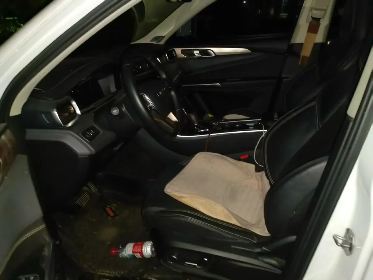 2019 Beijing BJ40 2.0T 218HP L4 6AT,autocango,china used car exporter,china ev exporter,chinese used car exporter,chinese used ev exporter